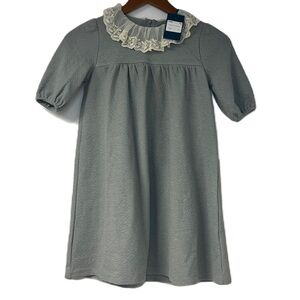 NWT Kipp Sage Lace Collar Dress Size 7